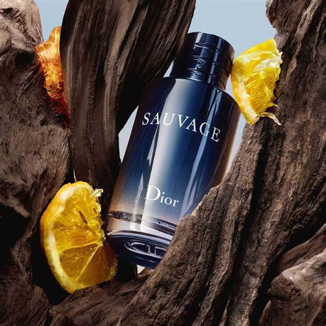 dior sauvage eau de toilette cheap